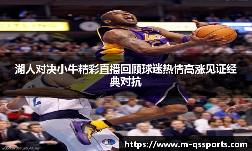 球速体育公司