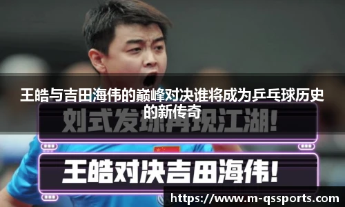 球速体育公司