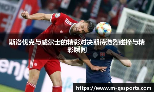 球速体育公司